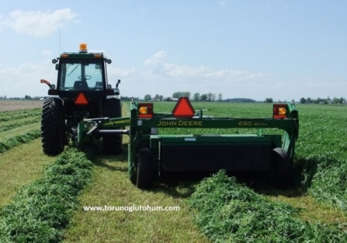 Toptan Yonca Tohumu Fiyatları 2026